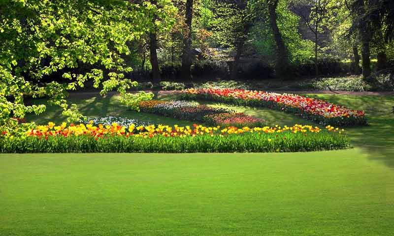Gandhi Bagh, Meerut